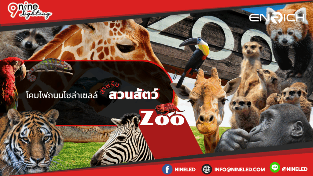 โคมไฮเบย์.com