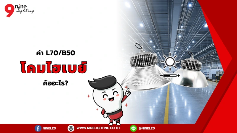 โคมไฮเบย์.com