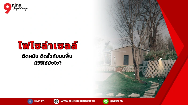 โคมไฮเบย์.com